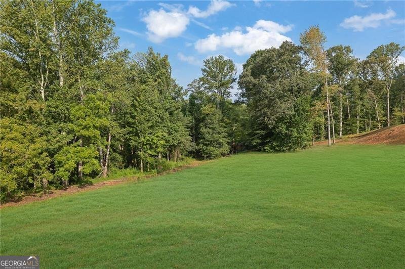 13375 Fincher Road Canton - 2