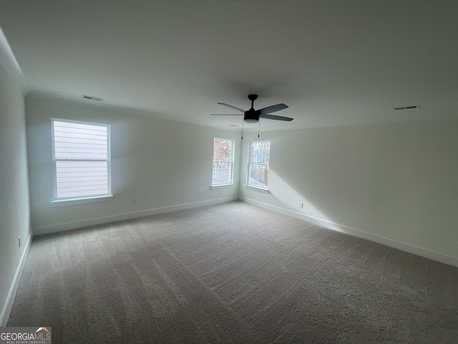 131 Marble Tree Way Ball Ground - 10