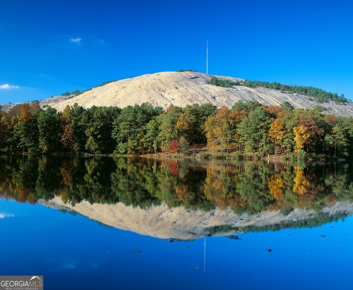 1516 BLACKSPRUCE Court Lilburn - 77