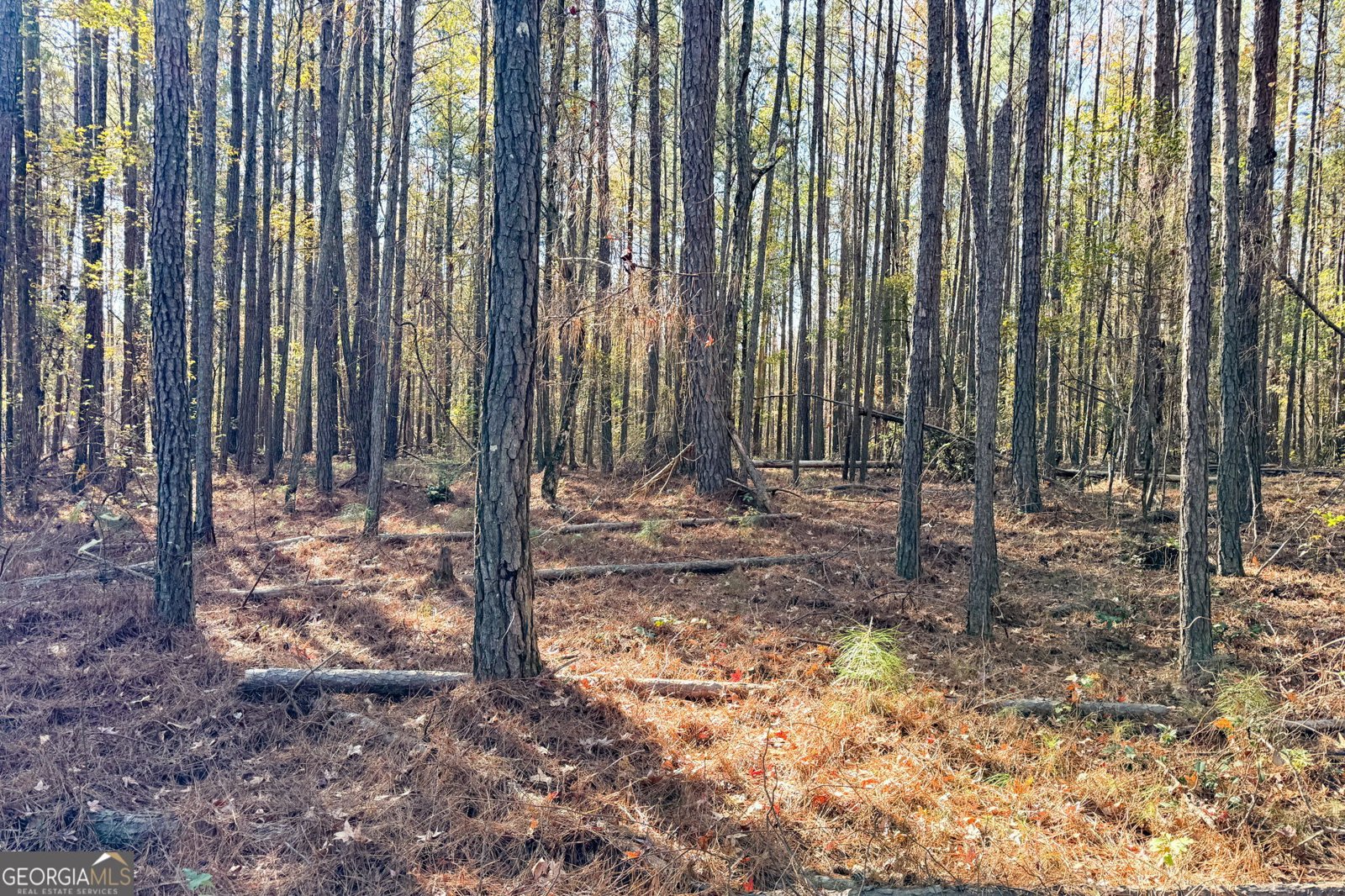 0 Crawford Road Barnesville - 3