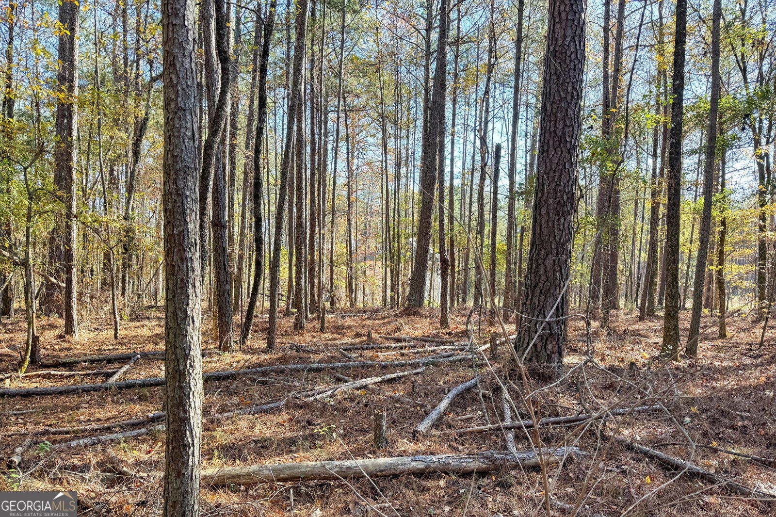 0 Crawford Road Barnesville - 5