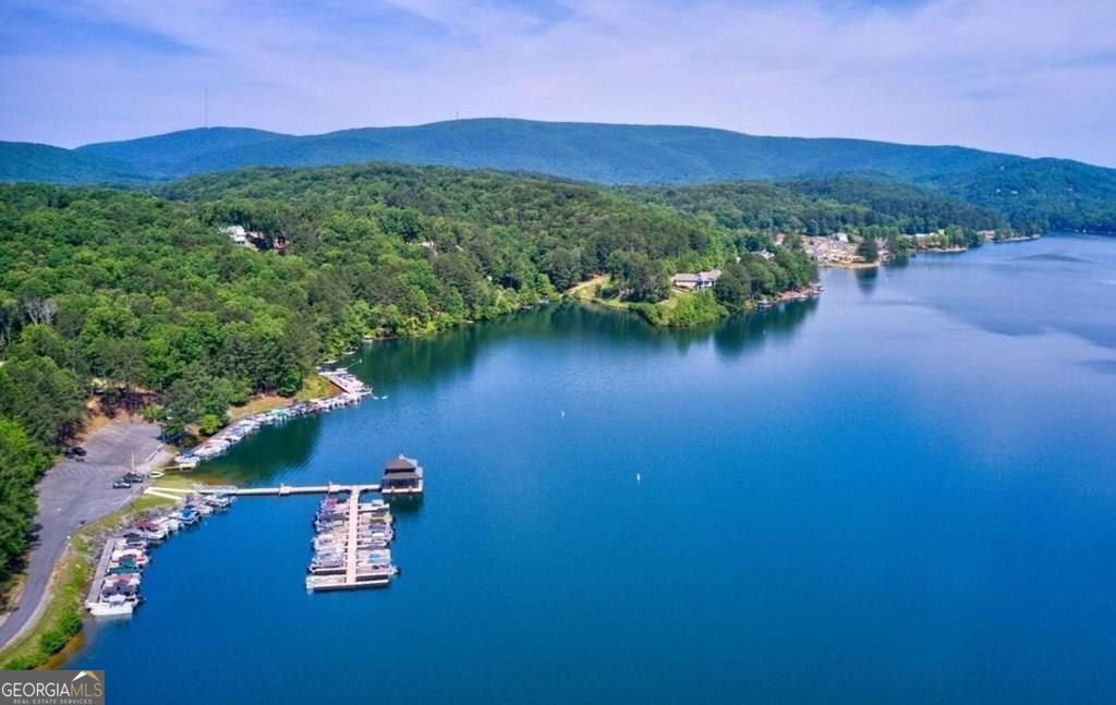 11 Mountain View Court Waleska - 15