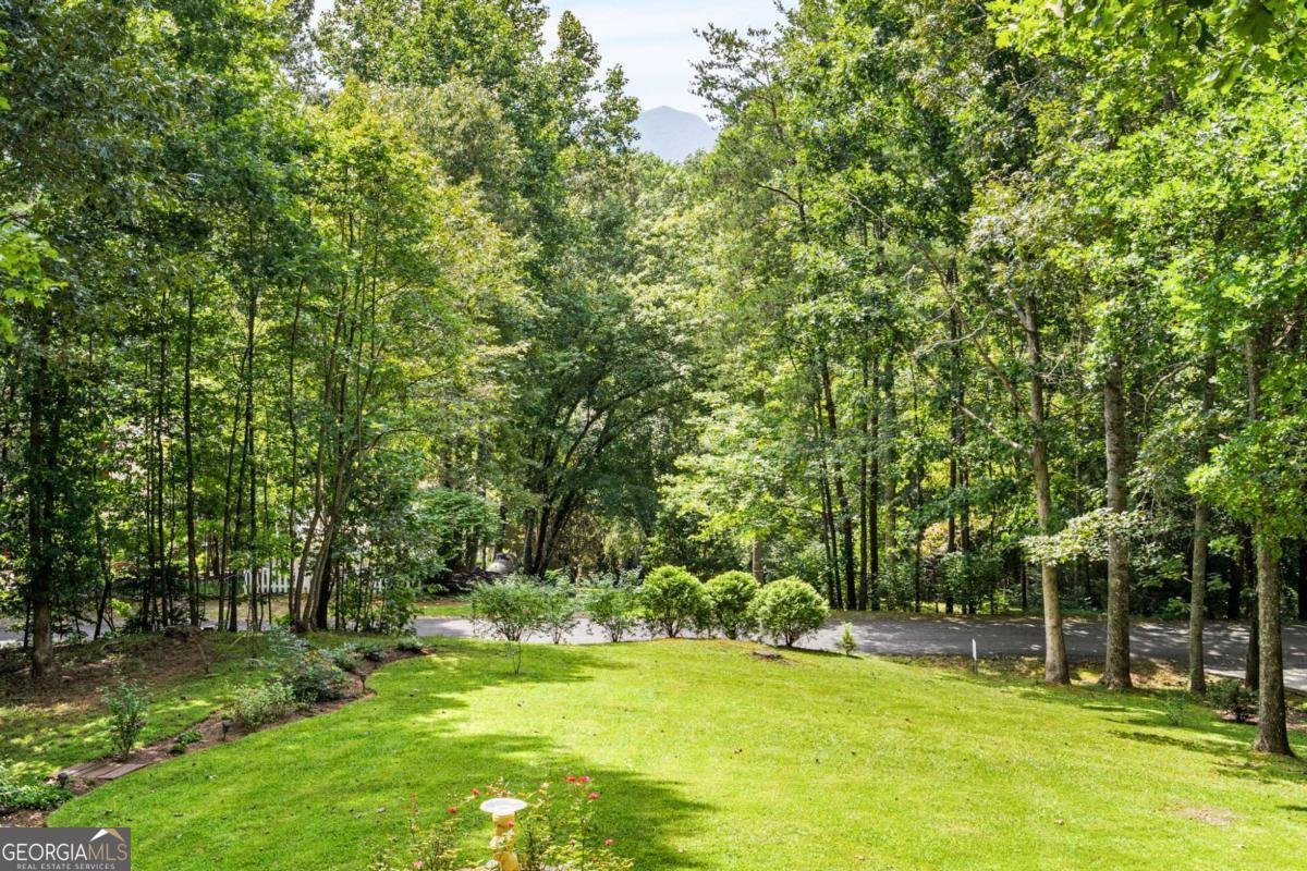 5147 Summer Wood Lane Young Harris - 10