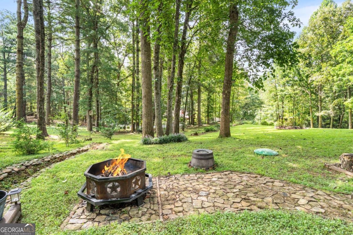 5147 Summer Wood Lane Young Harris - 11