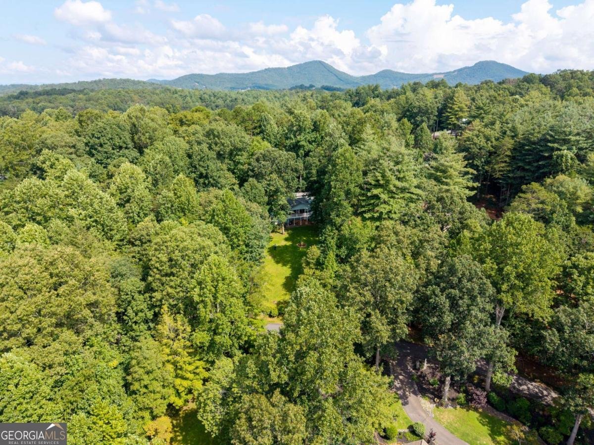 5147 Summer Wood Lane Young Harris - 47