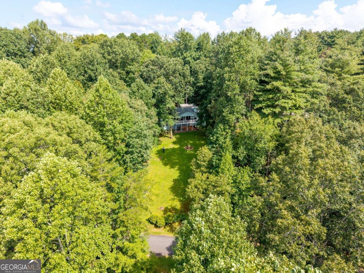 5147 Summer Wood Lane Young Harris - 48