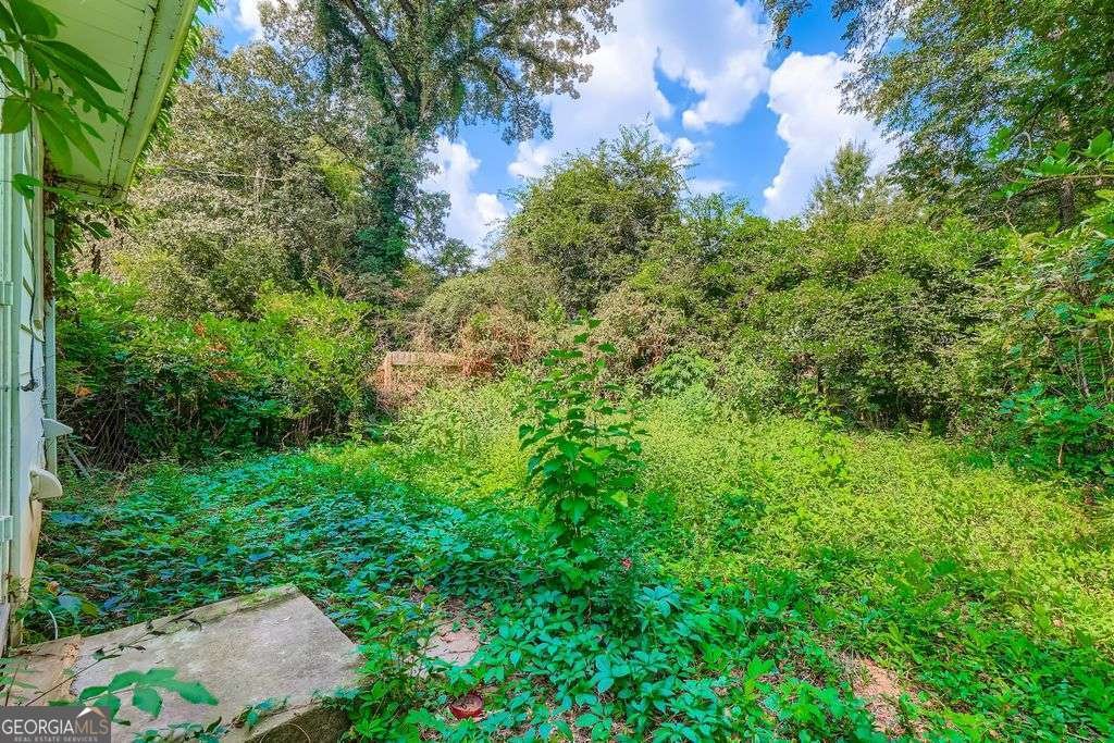 1337 Mcclelland Avenue Atlanta - 23