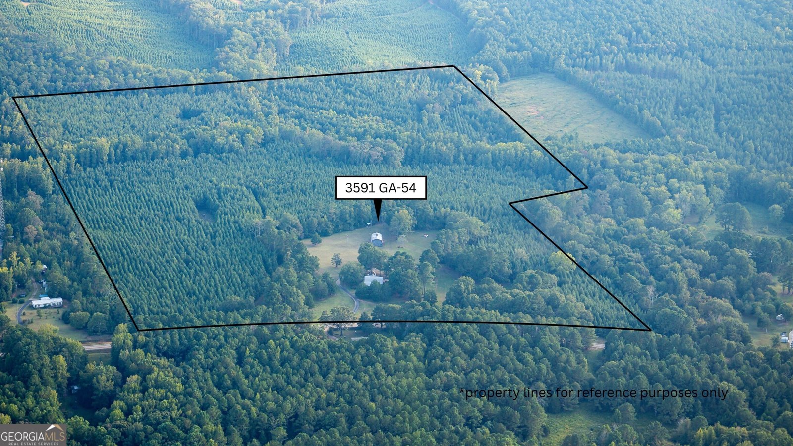 3591 GA 54 Hogansville - 40