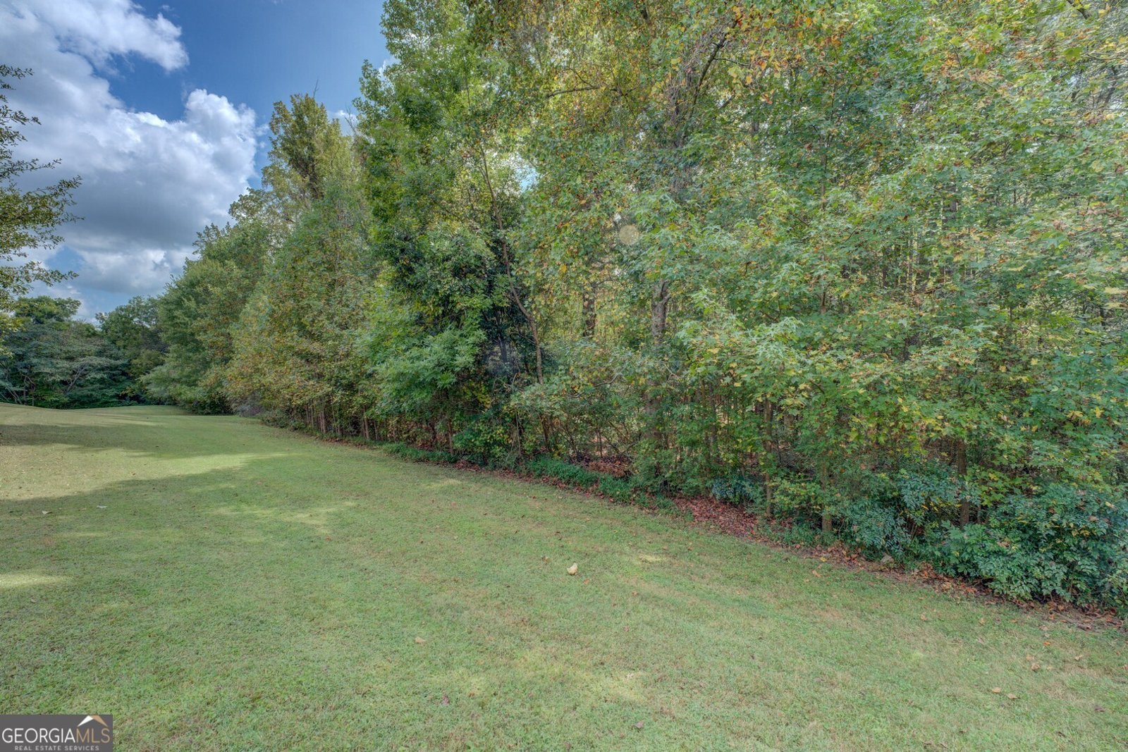 89 Willowick Drive Lithonia - 25