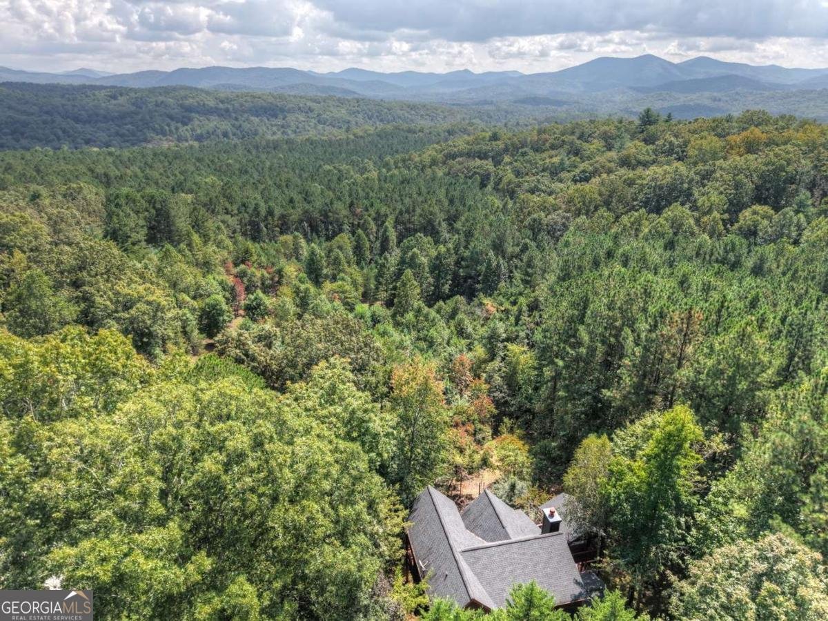 603 Red Berry Ridge Road Blue Ridge - 44