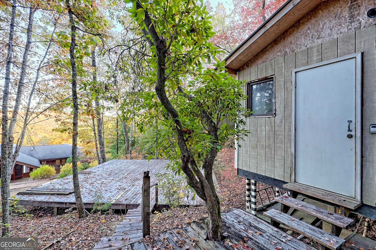 9406 Bridge Creek Road Tiger - 59