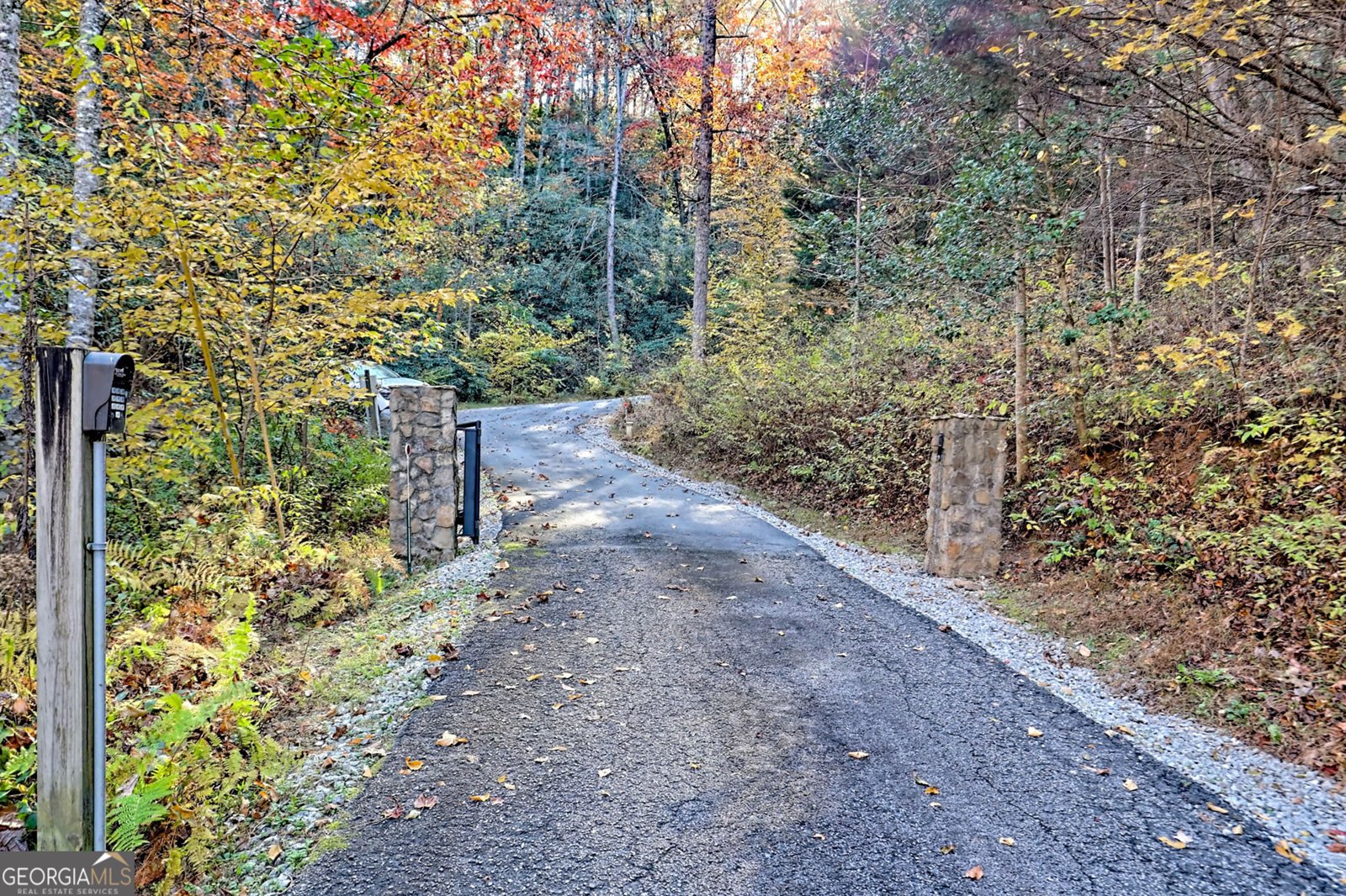 9406 Bridge Creek Road Tiger - 90