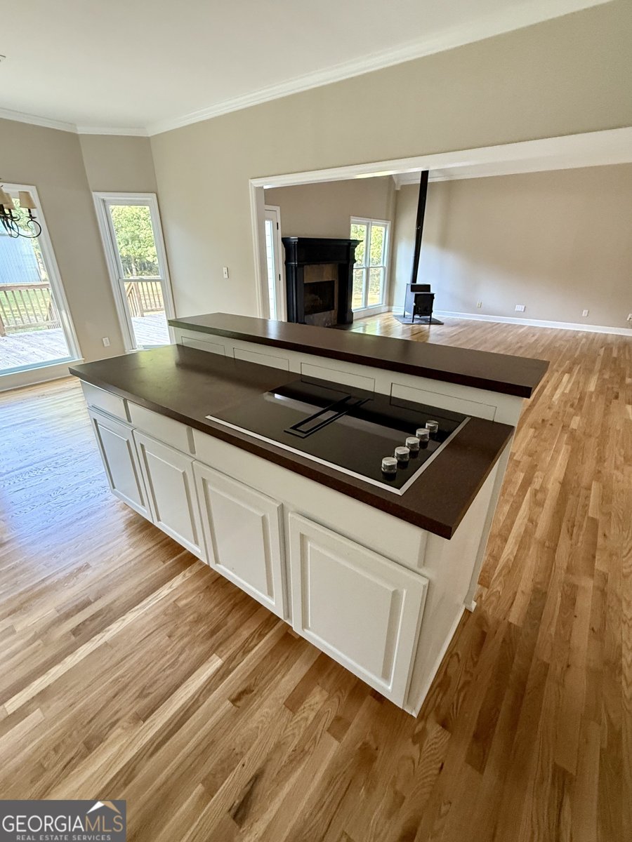 5120 Blanton Mill Road Williamson - 11