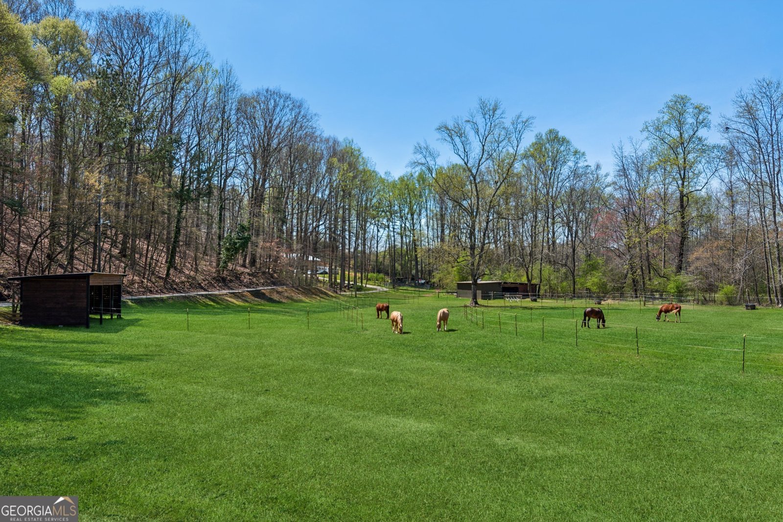 5388 Frazer Road Buford - 51