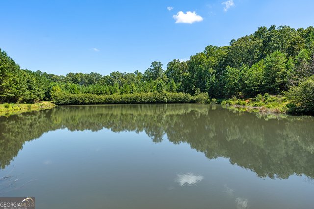 1206 + 0 Macedonia Road Newnan - 14