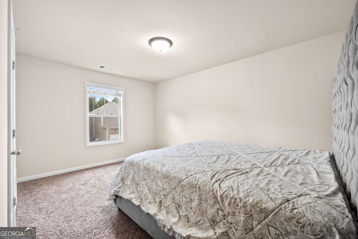 4309 Mantova Drive Buford - 19