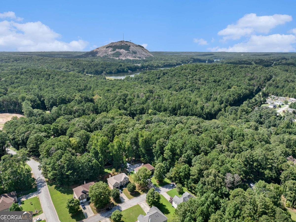 630 Wynpoint Place Stone Mountain - 37