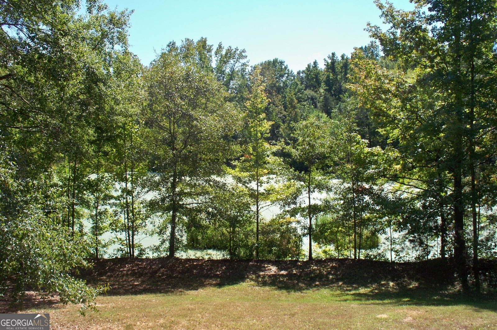 1110 Fieldcrest Court Buckhead - 33