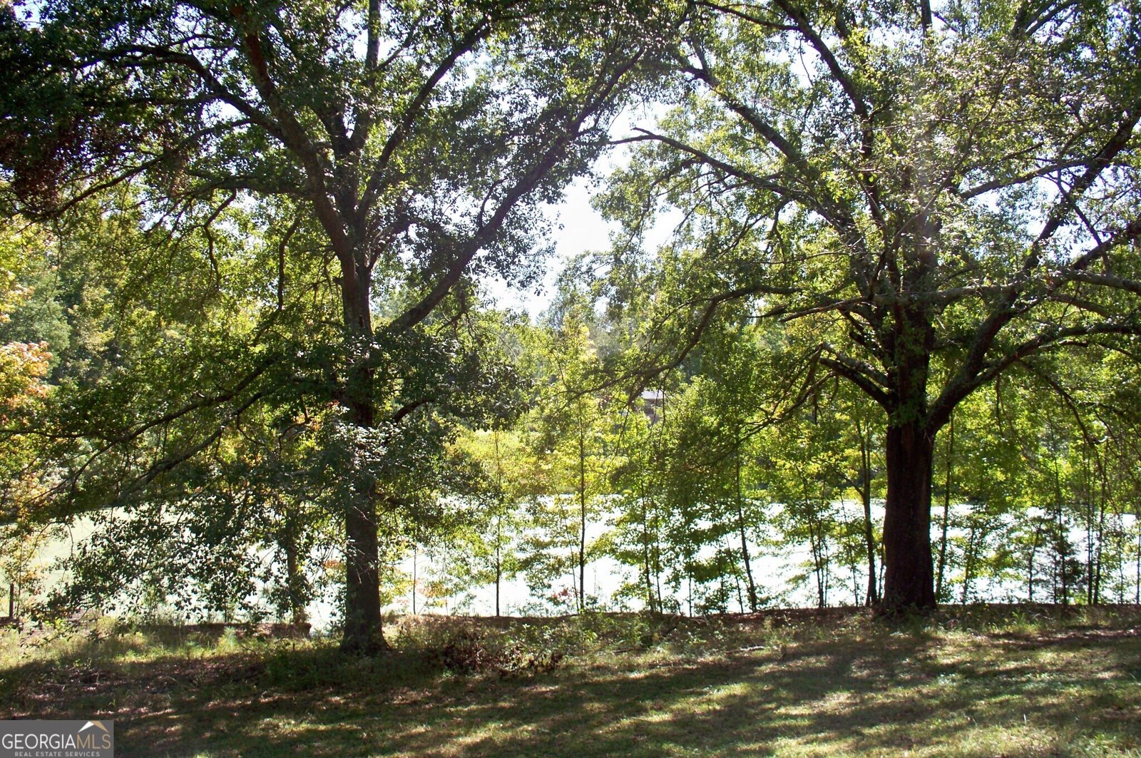 1110 Fieldcrest Court Buckhead - 34