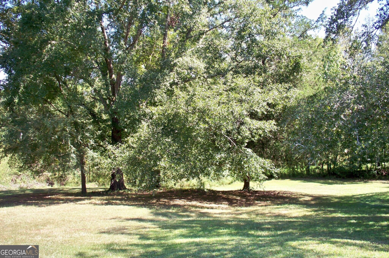 1110 Fieldcrest Court Buckhead - 35