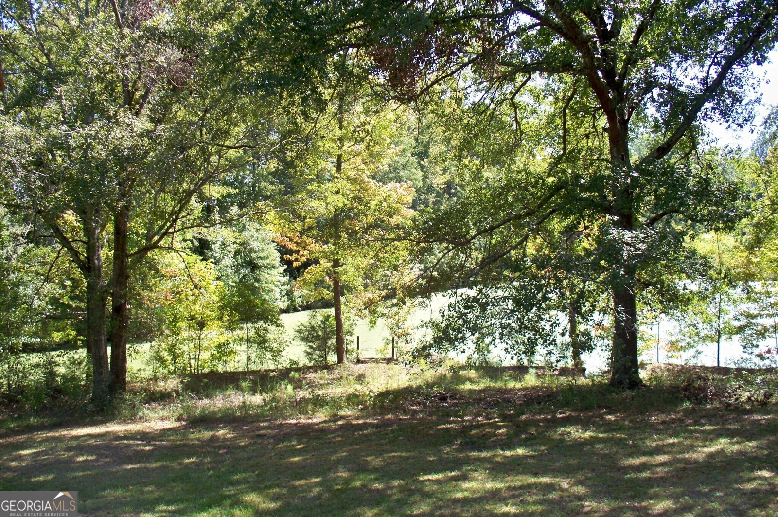 1110 Fieldcrest Court Buckhead - 36