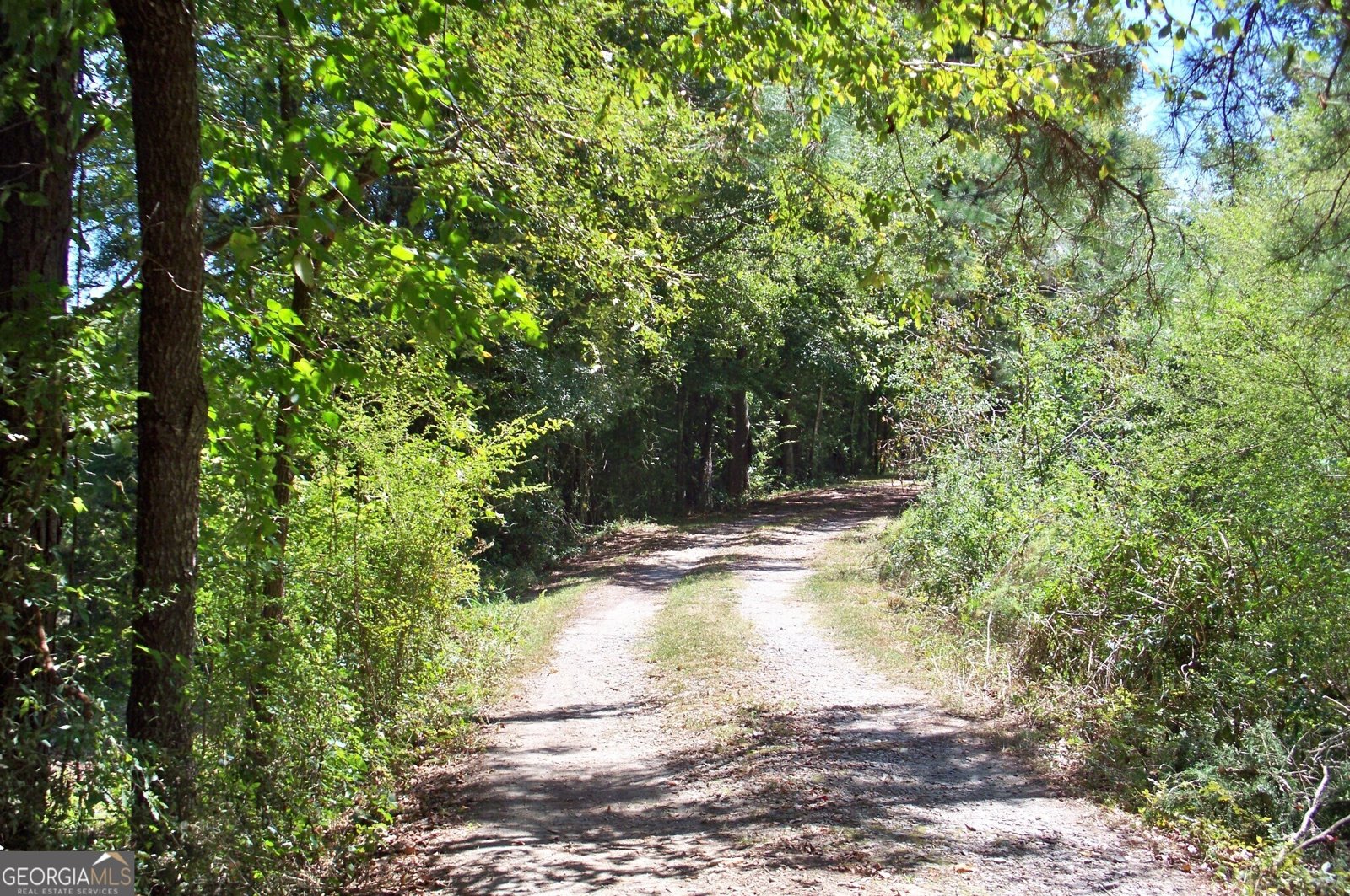 1110 Fieldcrest Court Buckhead - 44