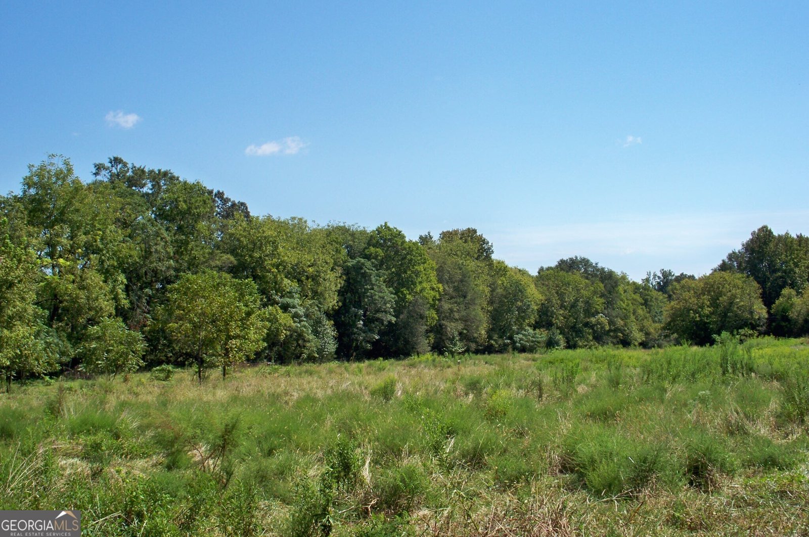 1110 Fieldcrest Court Buckhead - 45