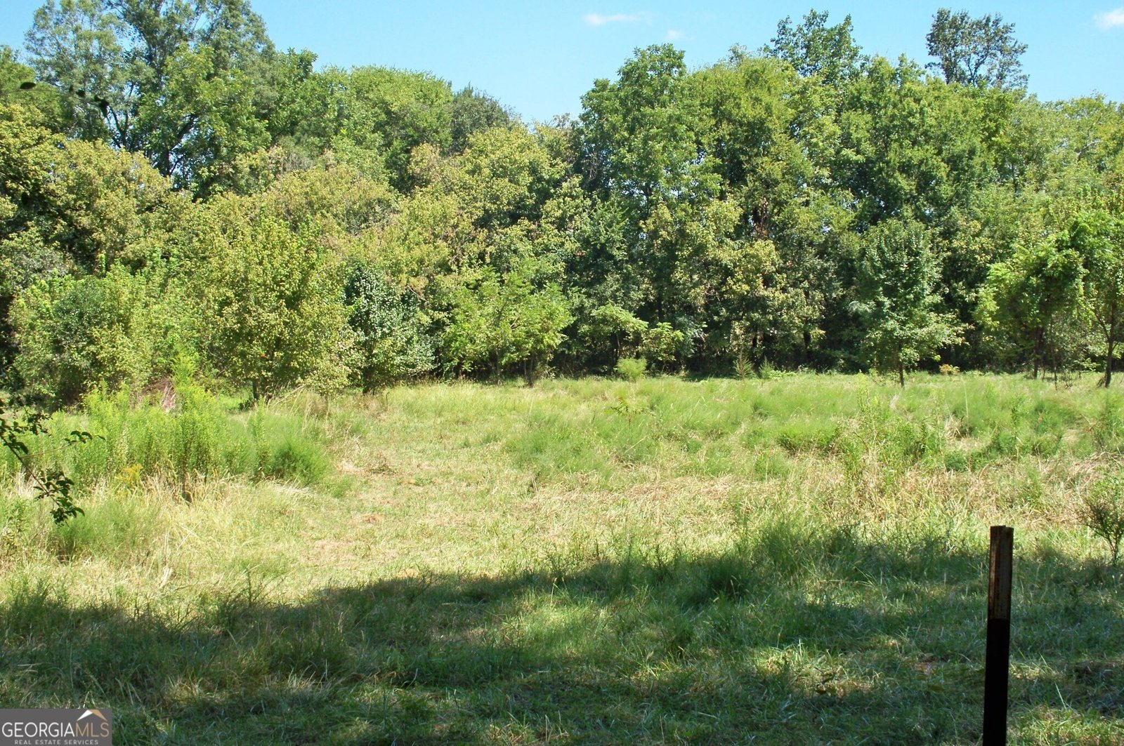 1110 Fieldcrest Court Buckhead - 46