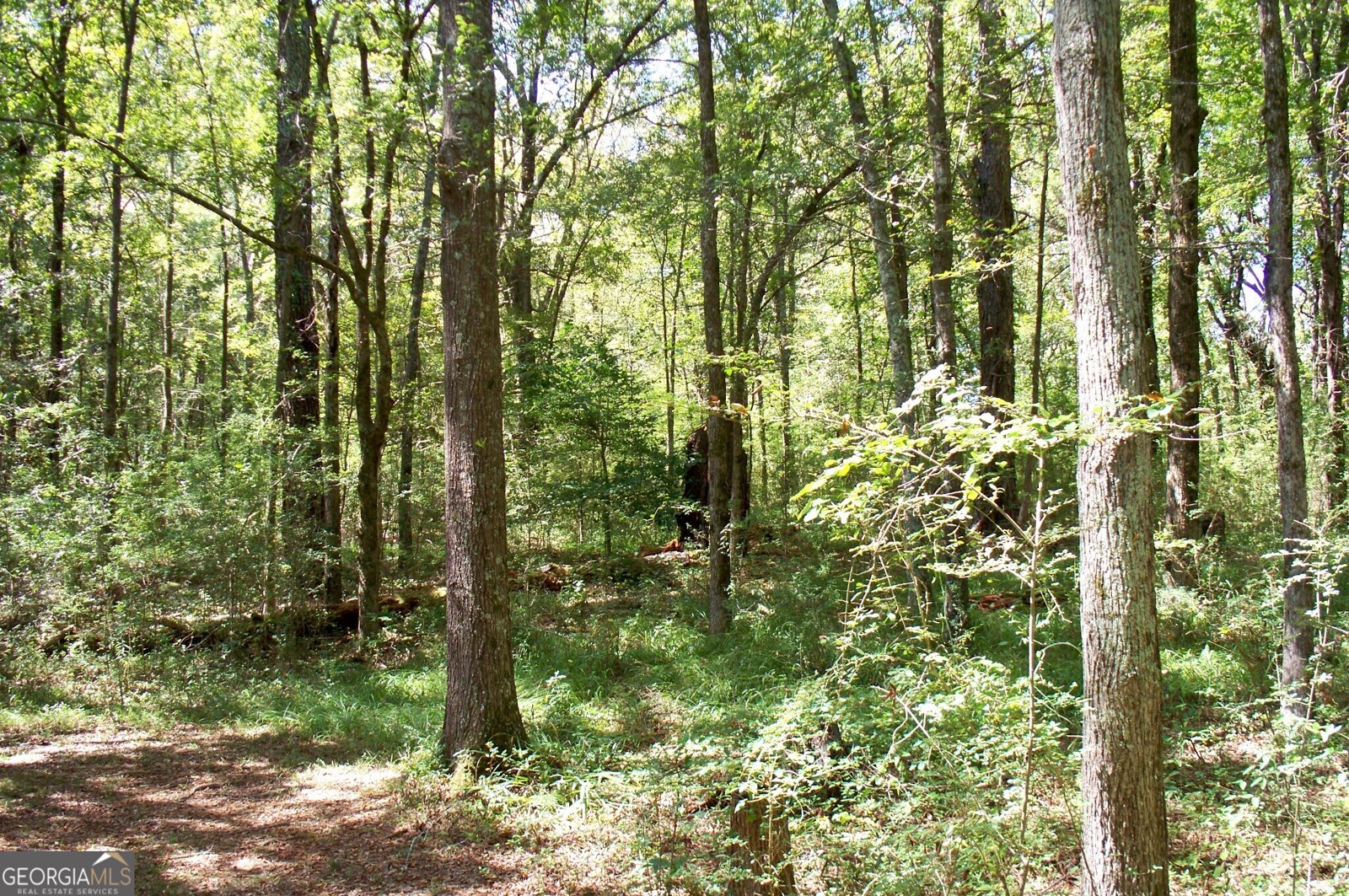 1110 Fieldcrest Court Buckhead - 48