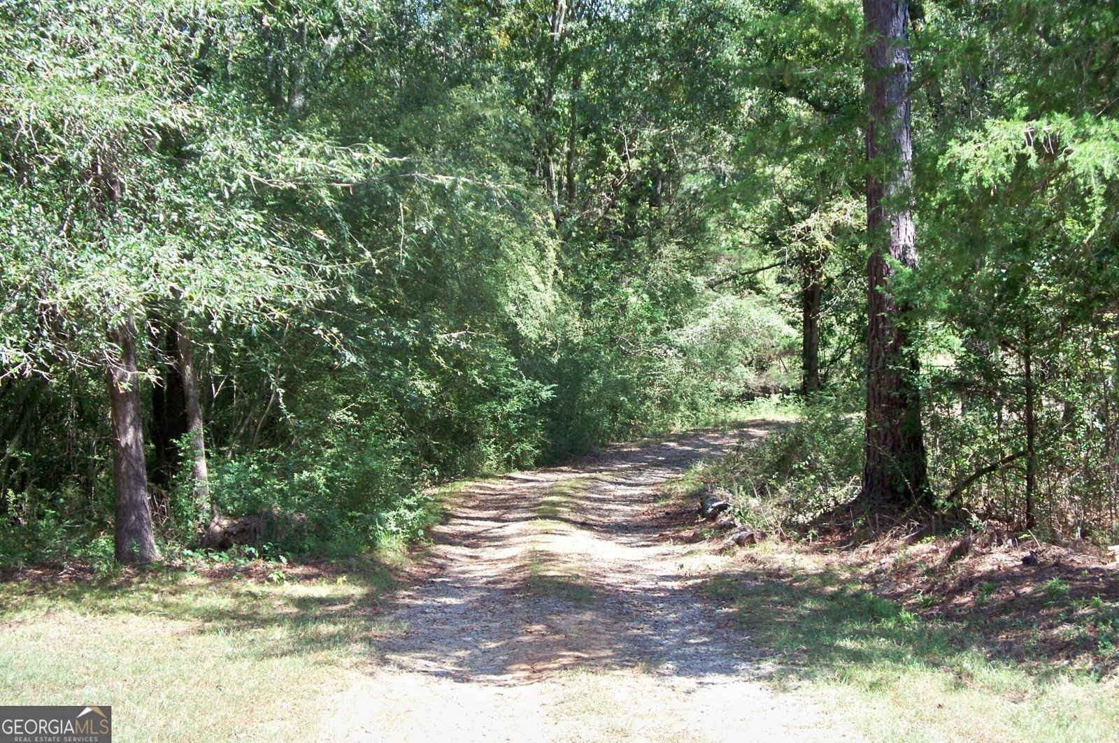 1110 Fieldcrest Court Buckhead - 59