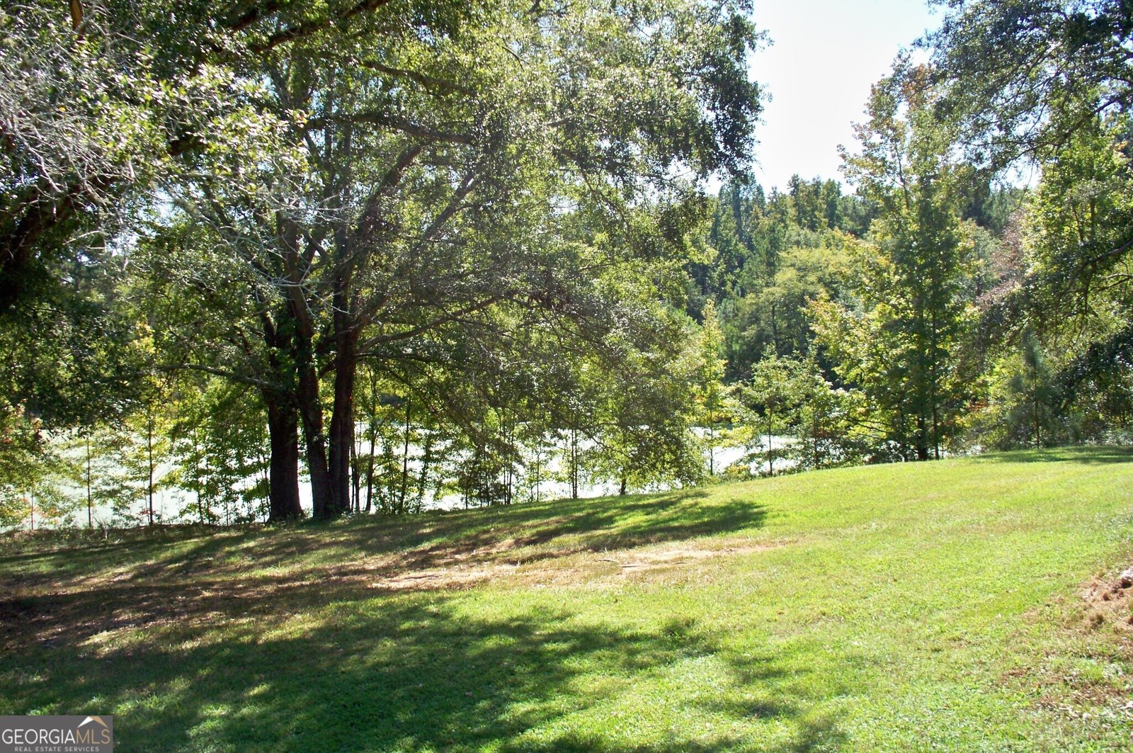 1110 Fieldcrest Court Buckhead - 60