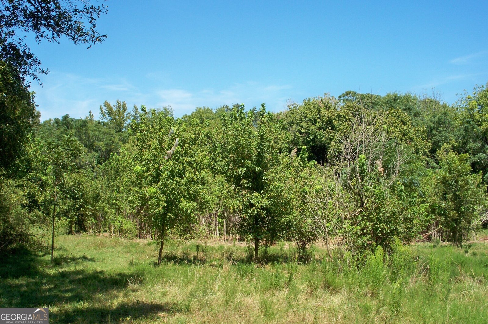 1110 Fieldcrest Court Buckhead - 71