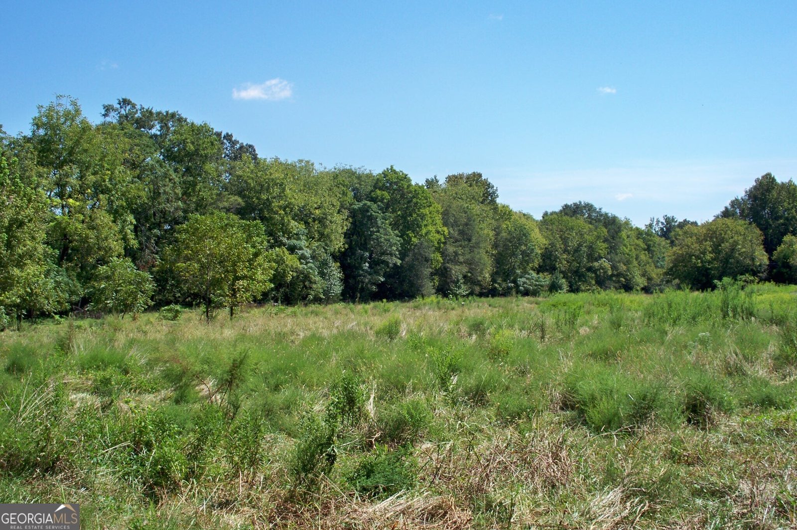 1110 Fieldcrest Court Buckhead - 72