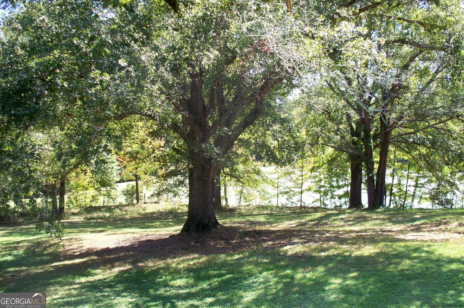 1110 Fieldcrest Court Buckhead - 74