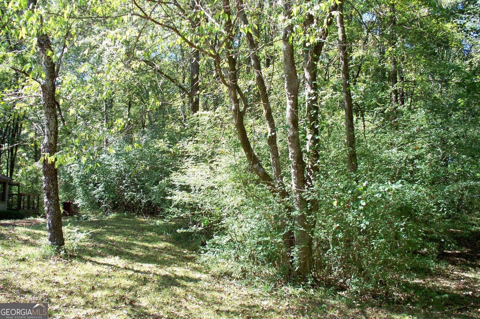 1110 Fieldcrest Court Buckhead - 76