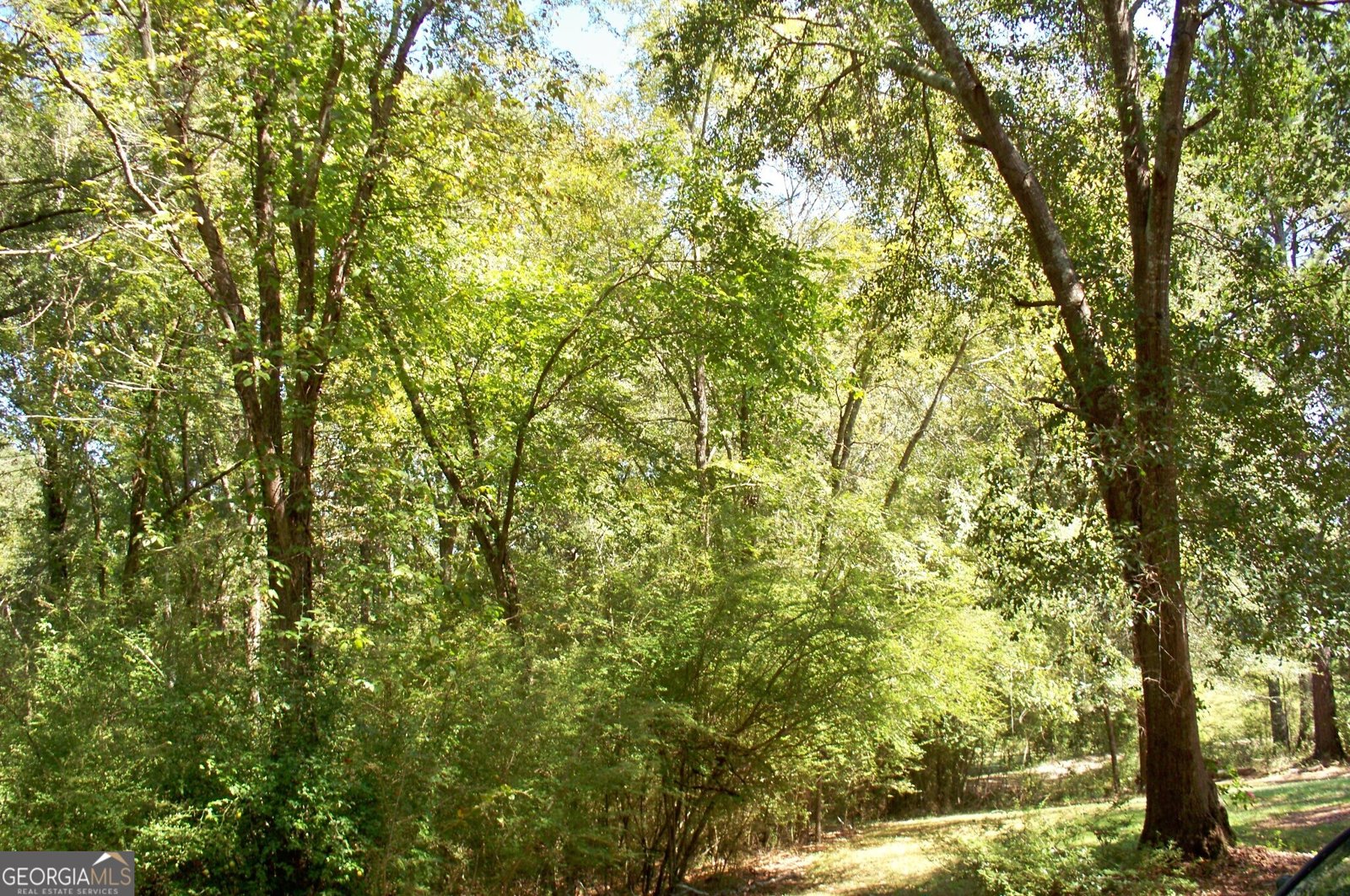 1110 Fieldcrest Court Buckhead - 77