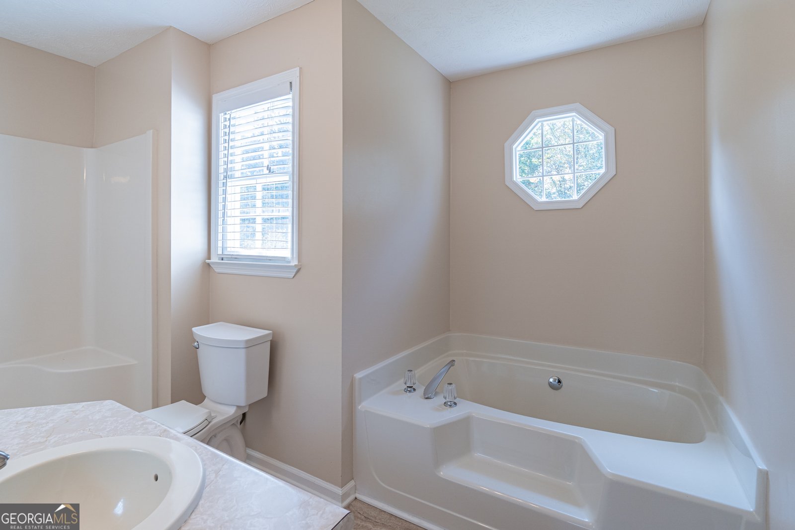 4674 Quail Pointe Drive Flowery Branch - 27