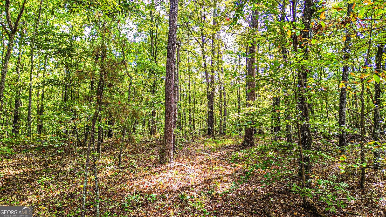 3741 100 Road Douglasville - 8