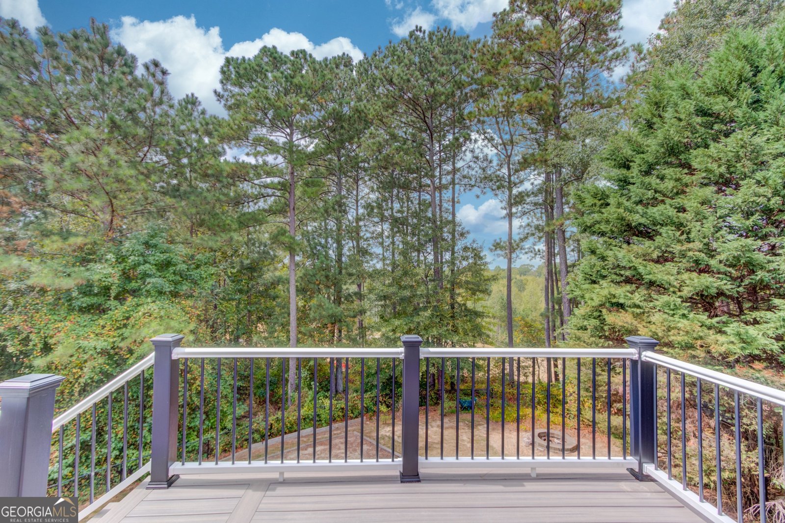 1670 Leigh Meadow Drive Dacula - 53