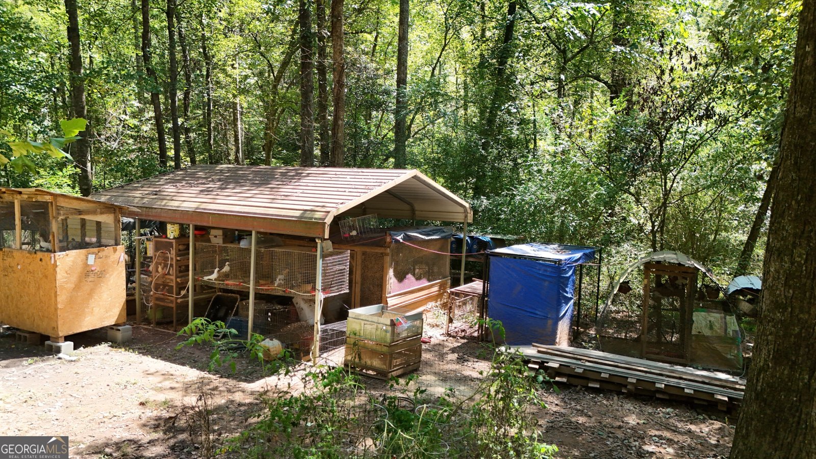 305 Cool Springs Road Clarkesville - 5