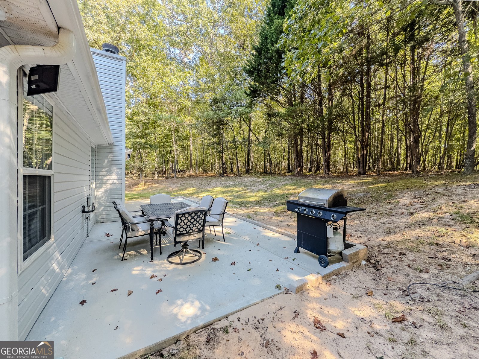 2622 Sam Calvin Drive Dacula - 12