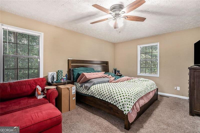 4611 OLD DOUGLASVILLE Road Lithia Springs - 10