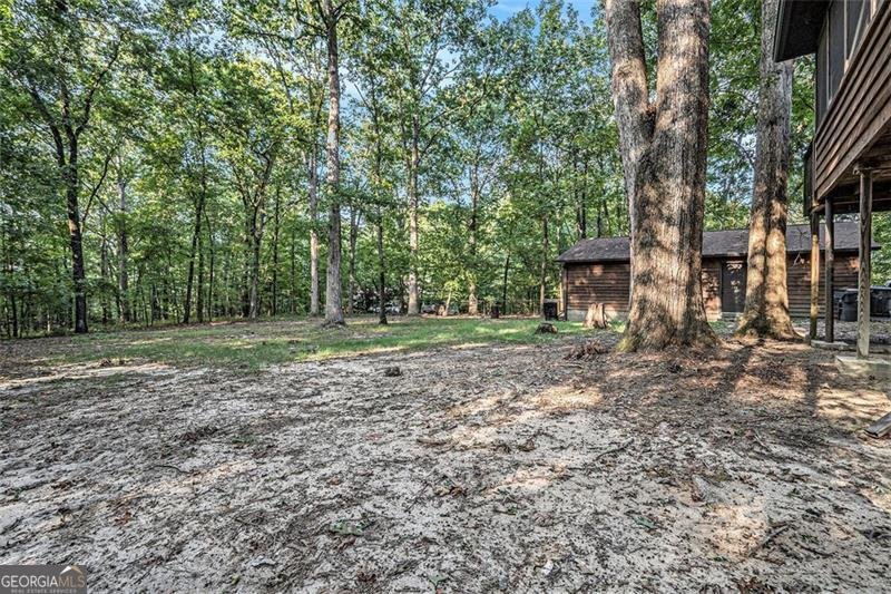 4611 OLD DOUGLASVILLE Road Lithia Springs - 2
