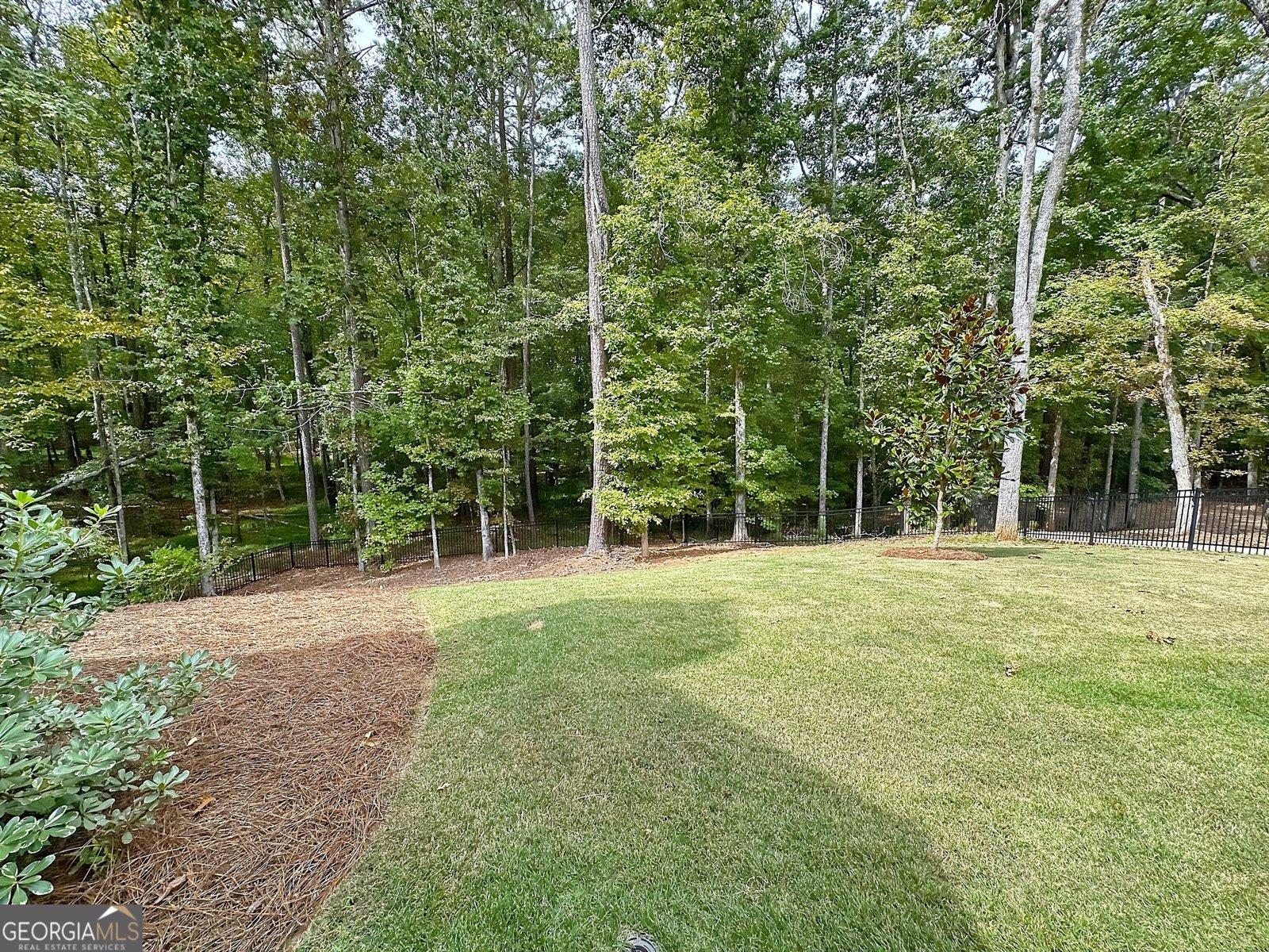 354 Willow Pointe Drive LaGrange - 47