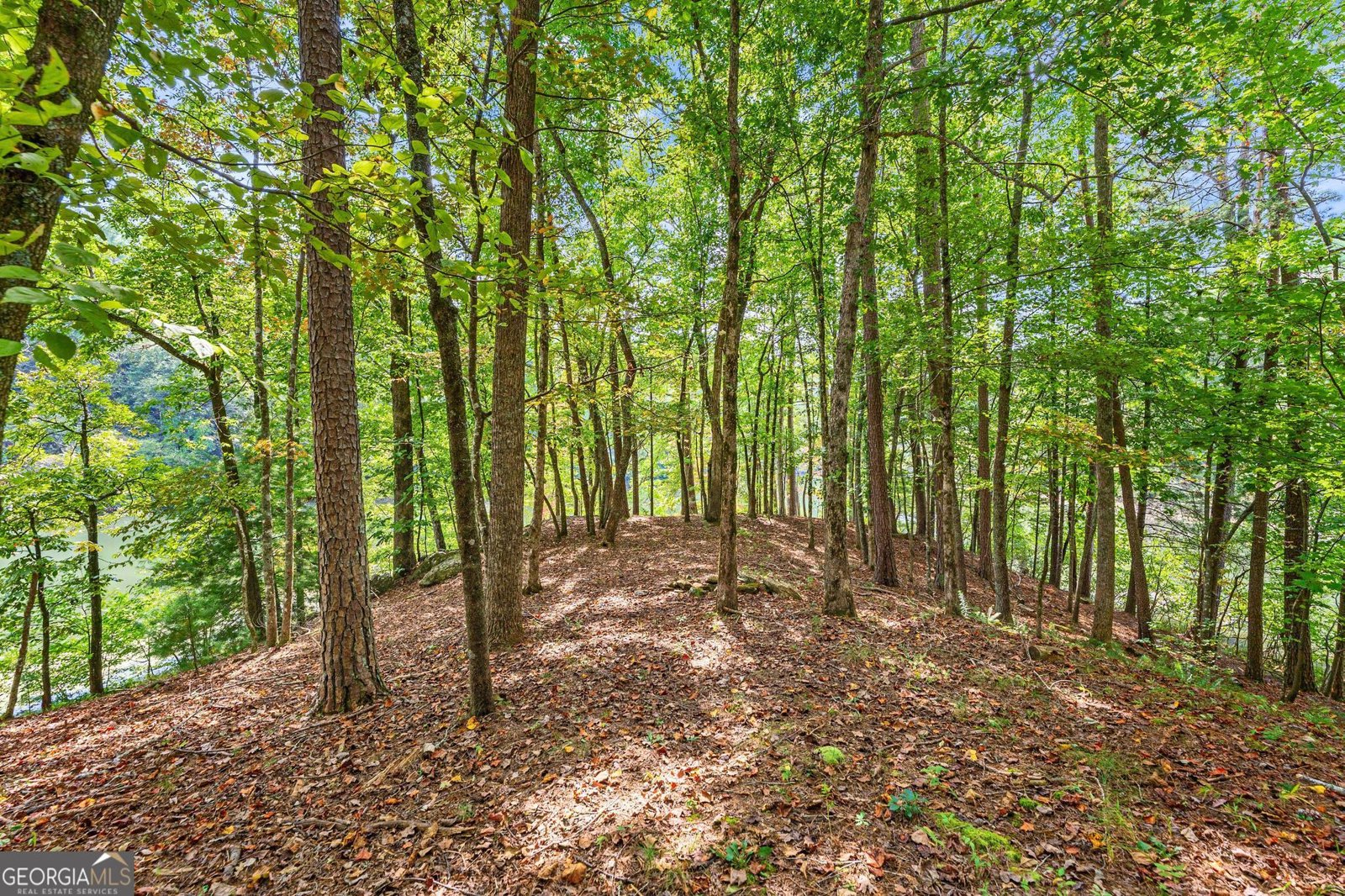 1127 Sautee Trail Sautee Nacoochee - 16