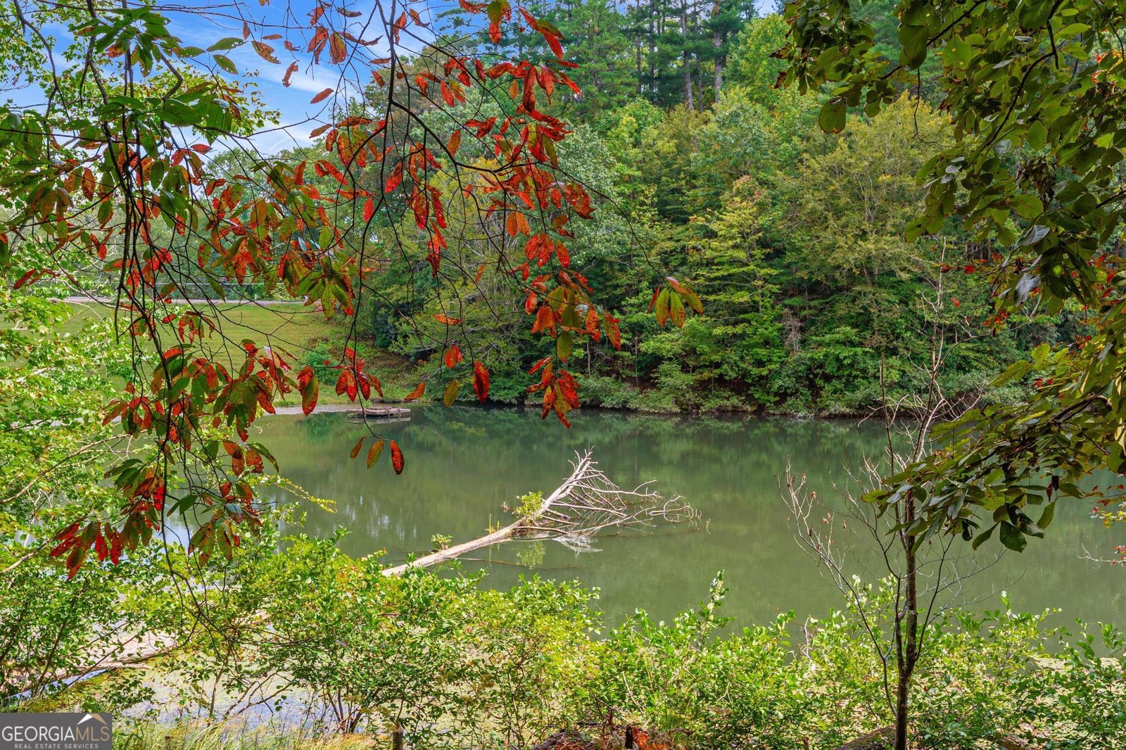 1127 Sautee Trail Sautee Nacoochee - 17