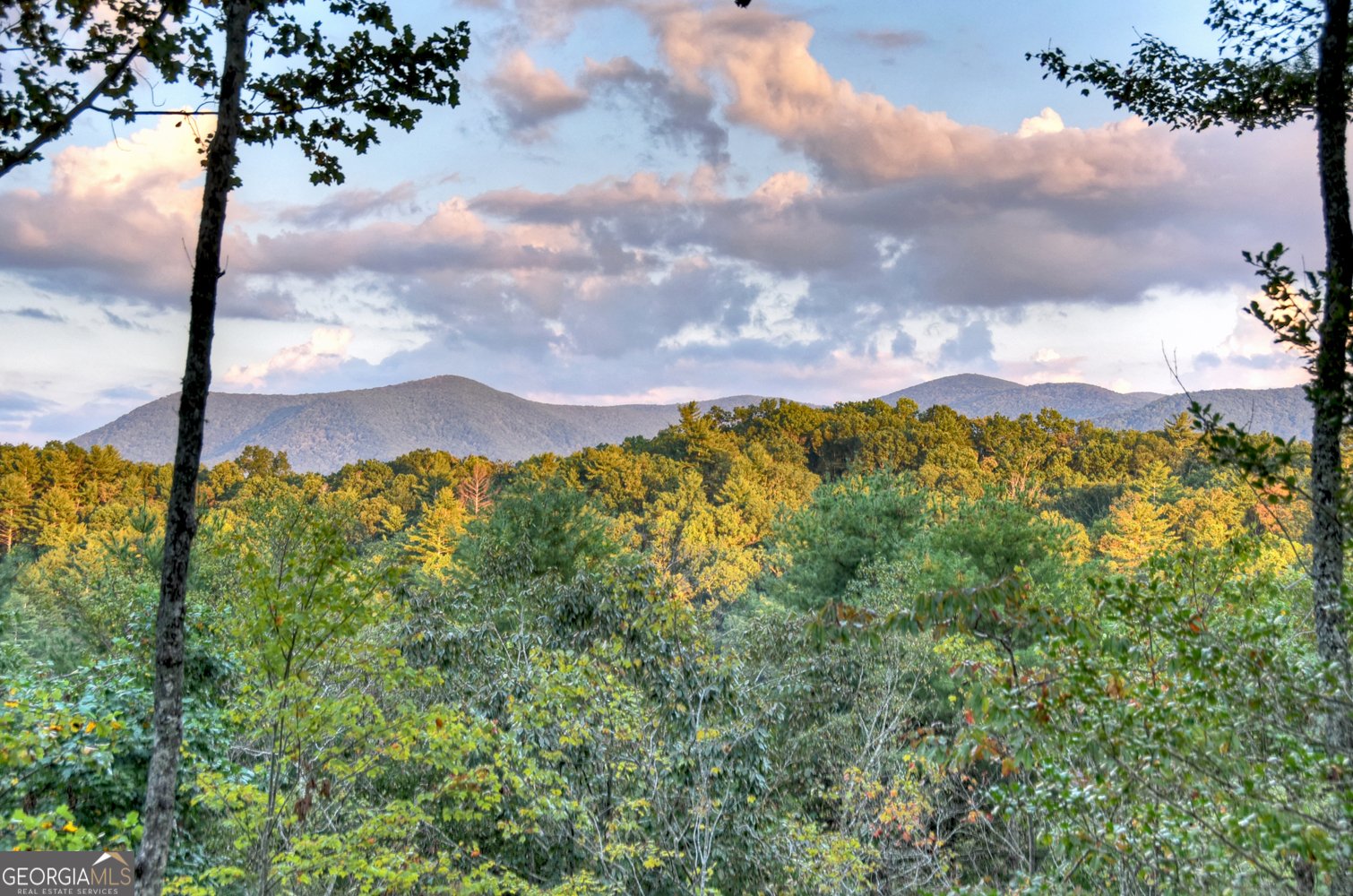 99 Dustin Drive Ellijay - 10