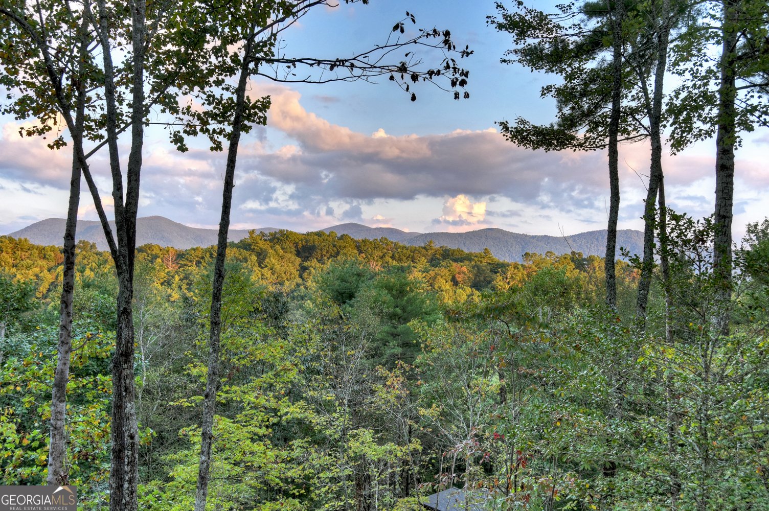 99 Dustin Drive Ellijay - 11