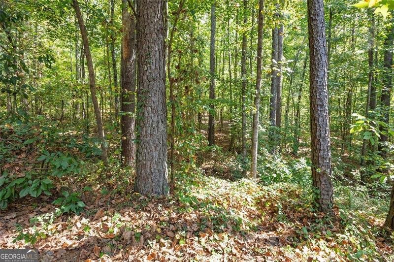 121 GREATWOOD Drive White - 26