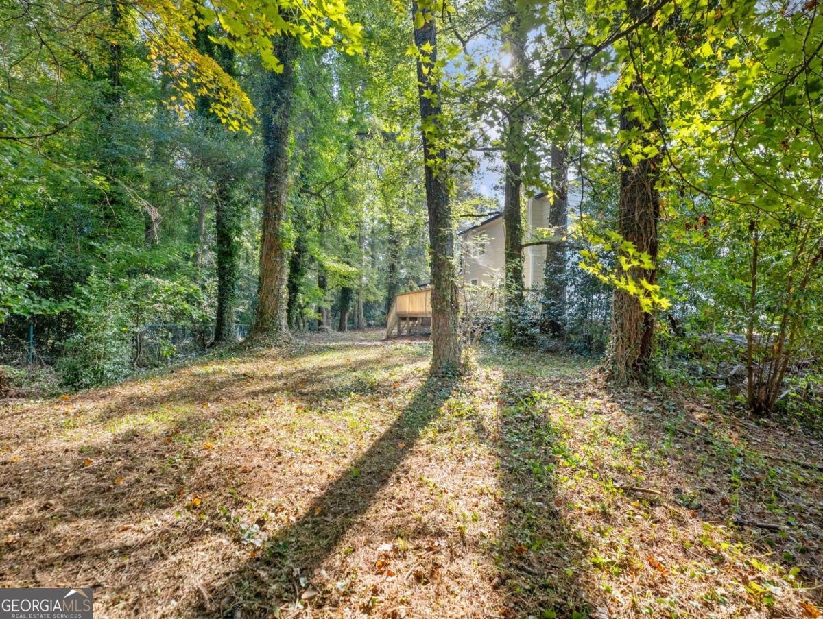 3300 Renoir Court Decatur - 48